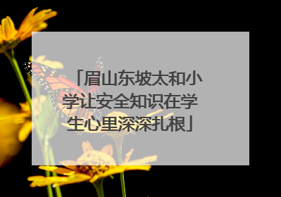 眉山东坡太和小学让安全知识在学生心里深深扎根