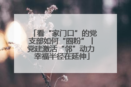 看“家门口”的党支部如何“圈粉”丨党建激活“邻”动力 幸福半径在延伸