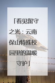 看见留守之光：云南保山特殊校园里的温暖守护