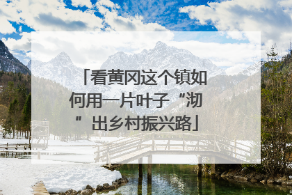 看黄冈这个镇如何用一片叶子“沏”出乡村振兴路