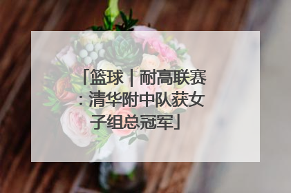 篮球｜耐高联赛：清华附中队获女子组总冠军