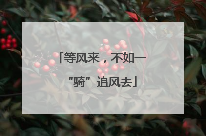等风来，不如一“骑”追风去