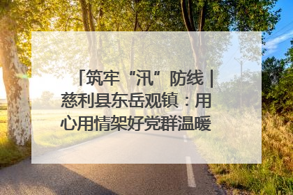筑牢“汛”防线｜慈利县东岳观镇：用心用情架好党群温暖悠长的“连心桥”