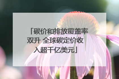 碳价和排放覆盖率双升 全球碳定价收入超千亿美元
