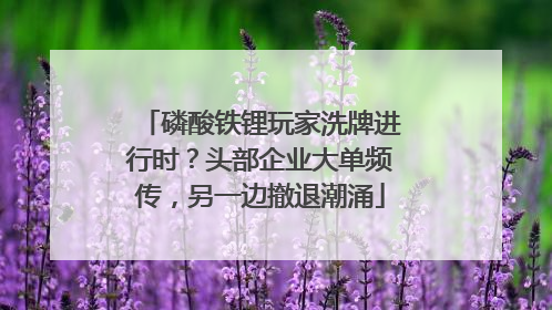 磷酸铁锂玩家洗牌进行时？头部企业大单频传，另一边撤退潮涌