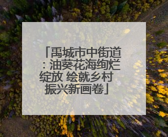 禹城市中街道：油葵花海绚烂绽放 绘就乡村振兴新画卷