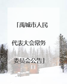 禹城市人民代表大会常务委员会公告