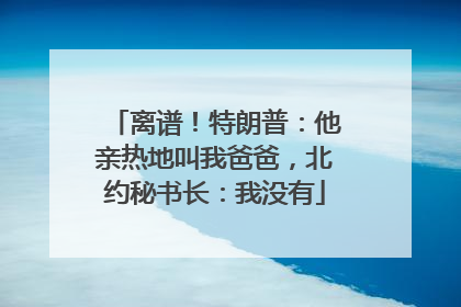 离谱！特朗普：他亲热地叫我爸爸，北约秘书长：我没有