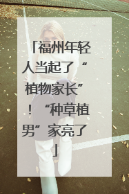 福州年轻人当起了“植物家长”！“种草植男”家亮了