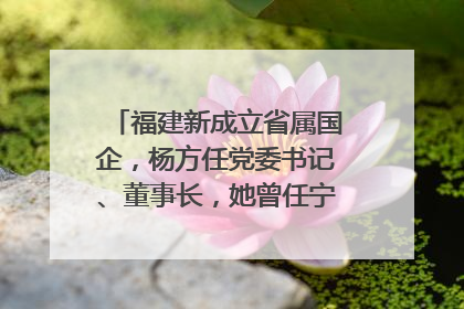 福建新成立省属国企，杨方任党委书记、董事长，她曾任宁德市委副书记｜张田怡已任县委副书记、县政府党组书记