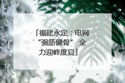 福建永定：电网“强筋健骨” 全力迎峰度夏