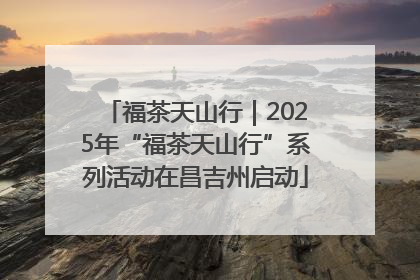 福茶天山行｜2025年“福茶天山行”系列活动在昌吉州启动