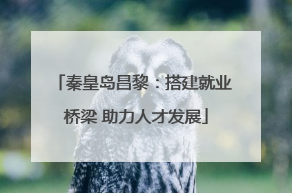 秦皇岛昌黎：搭建就业桥梁 助力人才发展