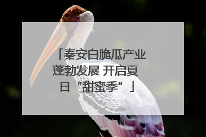 秦安白脆瓜产业蓬勃发展 开启夏日“甜蜜季”