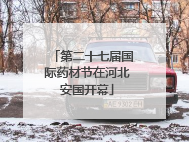 第二十七届国际药材节在河北安国开幕