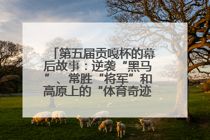 第五届贡嘎杯的幕后故事：逆袭“黑马”、常胜“将军”和高原上的“体育奇迹”丨微纪录
