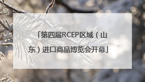 第四届RCEP区域（山东）进口商品博览会开幕