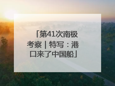 第41次南极考察｜特写：港口来了中国船
