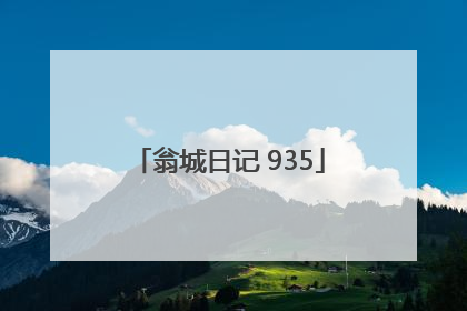 翁城日记 935
