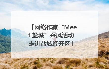 网络作家“Meet 盐城”采风活动走进盐城经开区