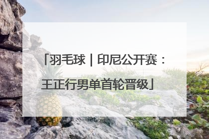 羽毛球｜印尼公开赛：王正行男单首轮晋级