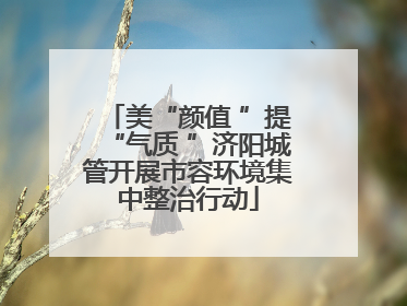 美“颜值 ”提“气质 ”济阳城管开展市容环境集中整治行动