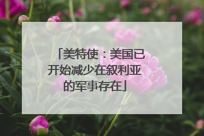 美特使：美国已开始减少在叙利亚的军事存在