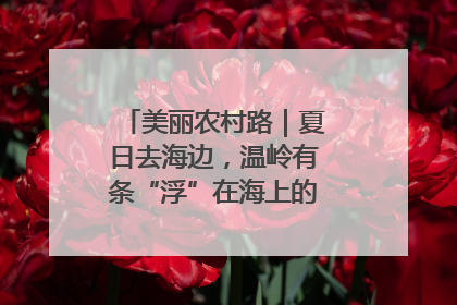 美丽农村路｜夏日去海边，温岭有条“浮”在海上的公路你去过吗？