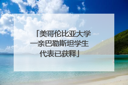 美哥伦比亚大学一亲巴勒斯坦学生代表已获释