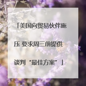 美国向贸易伙伴施压 要求周三前提供谈判“最佳方案”