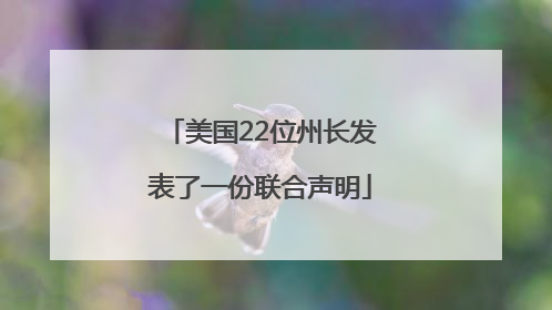 美国22位州长发表了一份联合声明
