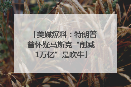 美媒爆料：特朗普曾怀疑马斯克“削减1万亿”是吹牛