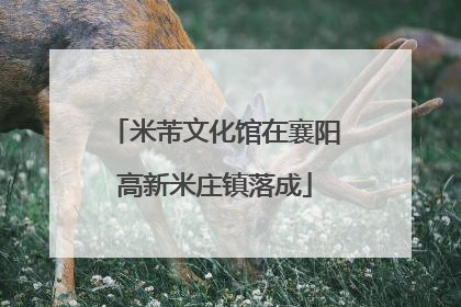米芾文化馆在襄阳高新米庄镇落成