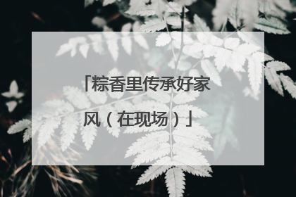 粽香里传承好家风（在现场）