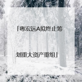 粤宏远A拟终止筹划重大资产重组