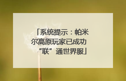 系统提示：帕米尔高原玩家已成功“联”通世界服