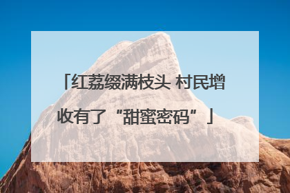 红荔缀满枝头 村民增收有了“甜蜜密码”