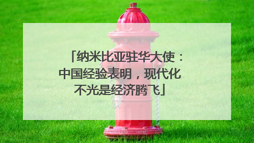 纳米比亚驻华大使：中国经验表明，现代化不光是经济腾飞
