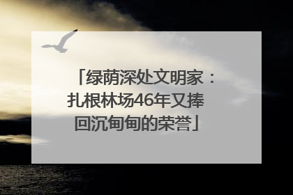 绿荫深处文明家：扎根林场46年又捧回沉甸甸的荣誉