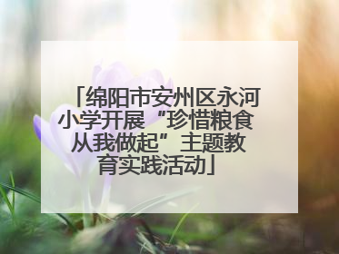 绵阳市安州区永河小学开展“珍惜粮食 从我做起”主题教育实践活动