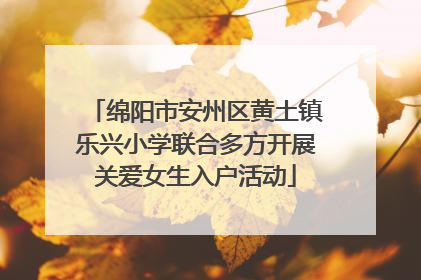 绵阳市安州区黄土镇乐兴小学联合多方开展关爱女生入户活动