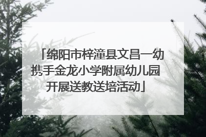 绵阳市梓潼县文昌一幼携手金龙小学附属幼儿园开展送教送培活动