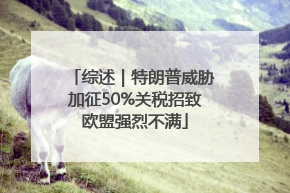 综述｜特朗普威胁加征50%关税招致欧盟强烈不满