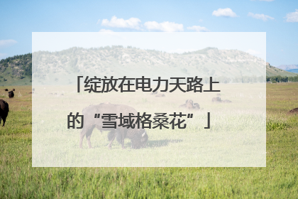 绽放在电力天路上的“雪域格桑花”