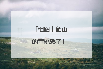 组图丨韶山的黄桃熟了