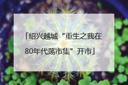绍兴越城“重生之我在80年代荡市集”开市