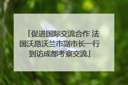 促进国际交流合作 法国沃昂沃兰市副市长一行到访成都考察交流