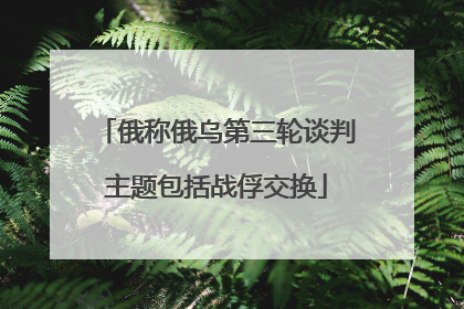 俄称俄乌第三轮谈判主题包括战俘交换
