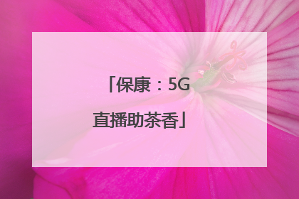 保康：5G直播助茶香