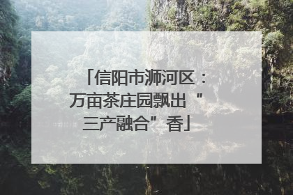 信阳市浉河区：万亩茶庄园飘出“三产融合”香